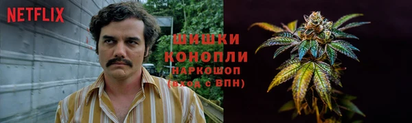 гашик Богданович